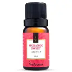 Essências Aromatizantes Clássica 10ml Para Difusores - Via Aroma